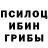 Псилоцибиновые грибы прущие грибы Little Jackalo