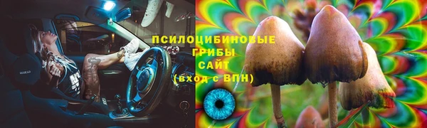 бошки Надым