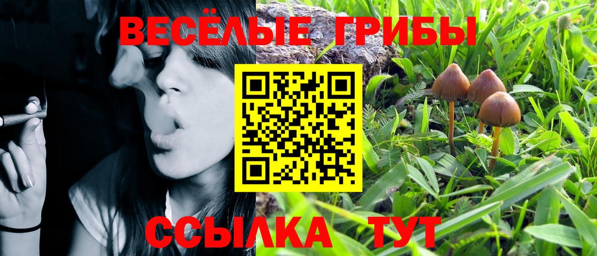 Псилоцибиновые грибы GOLDEN TEACHER Белореченск