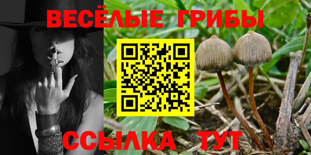 хочу наркоту  Вход с VPN  Псилоцибиновые грибы Psilocybine cubensis  Белореченск  Псилоцибиновые грибы Magic Shrooms 