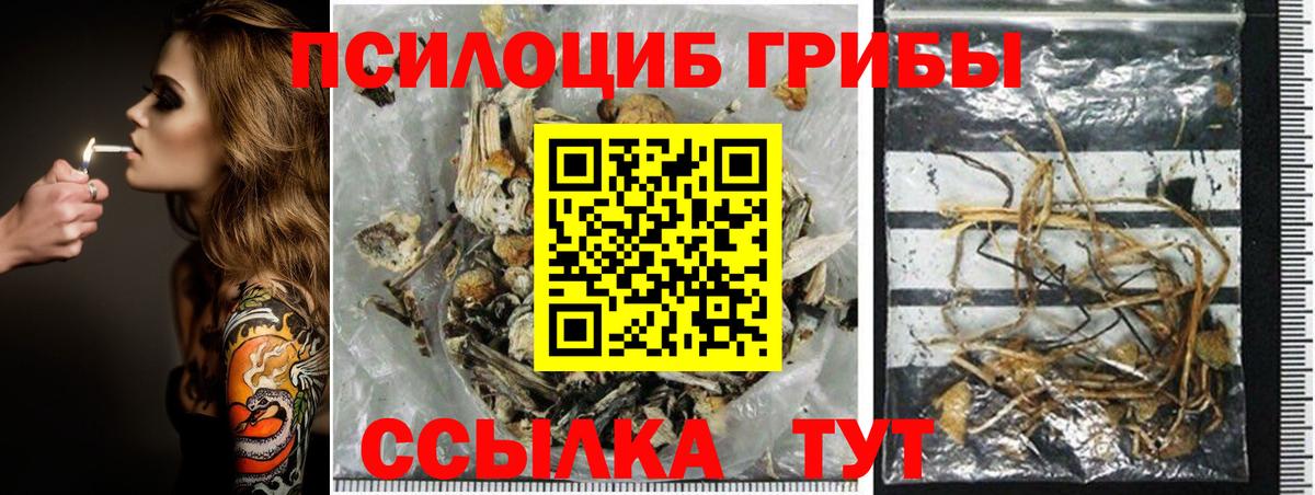 Галлюциногенные грибы GOLDEN TEACHER  Вход с VPN  Белореченск 