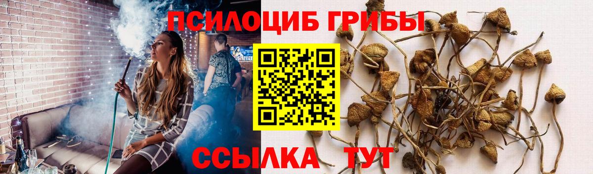 Псилоцибиновые грибы GOLDEN TEACHER Белореченск